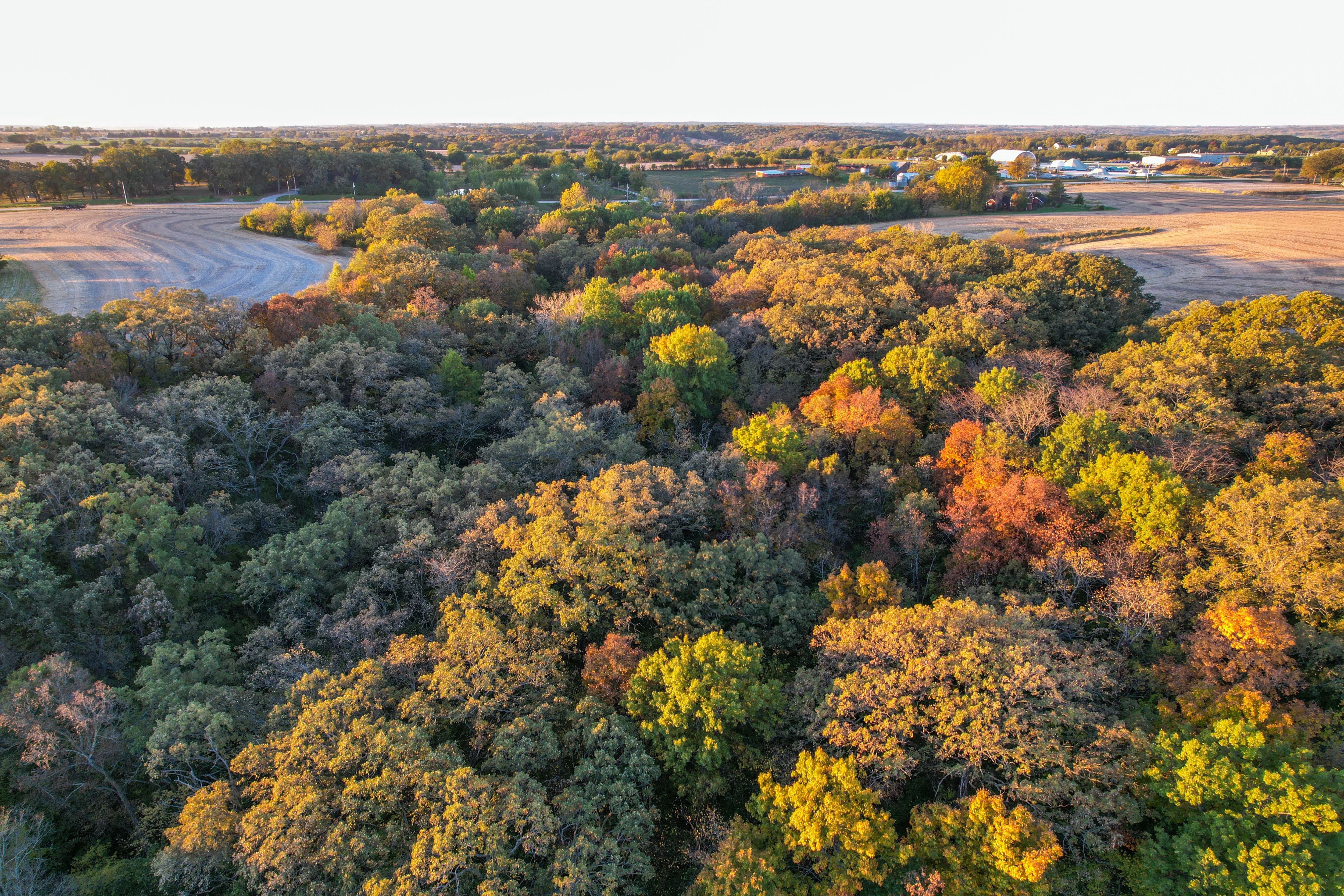 Listing Photo: Photo Oct 22 2025, 7 57 11 AM